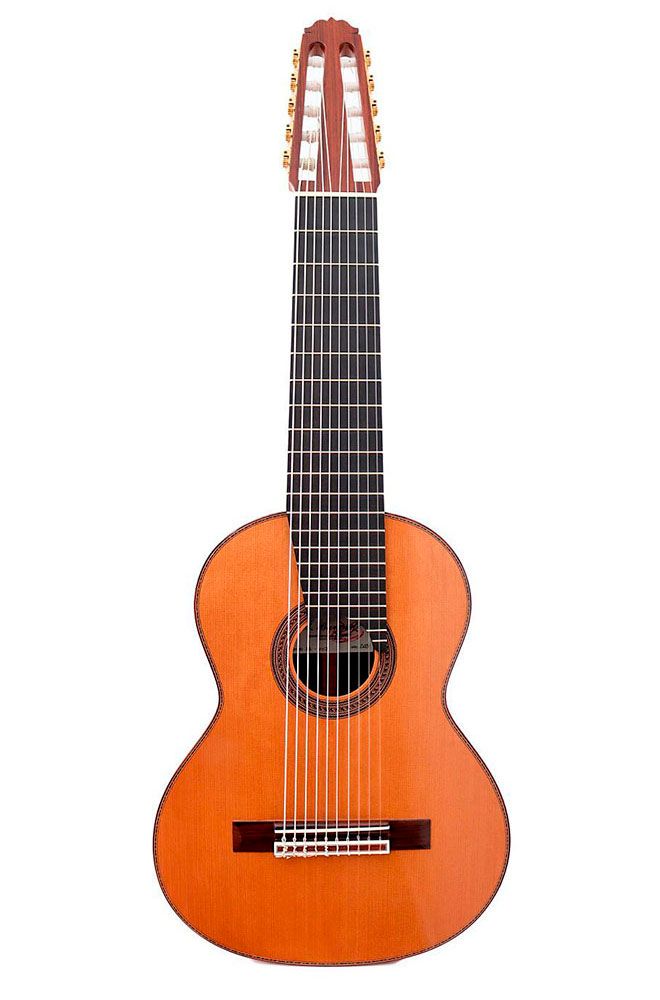 guitarras especiales y extras