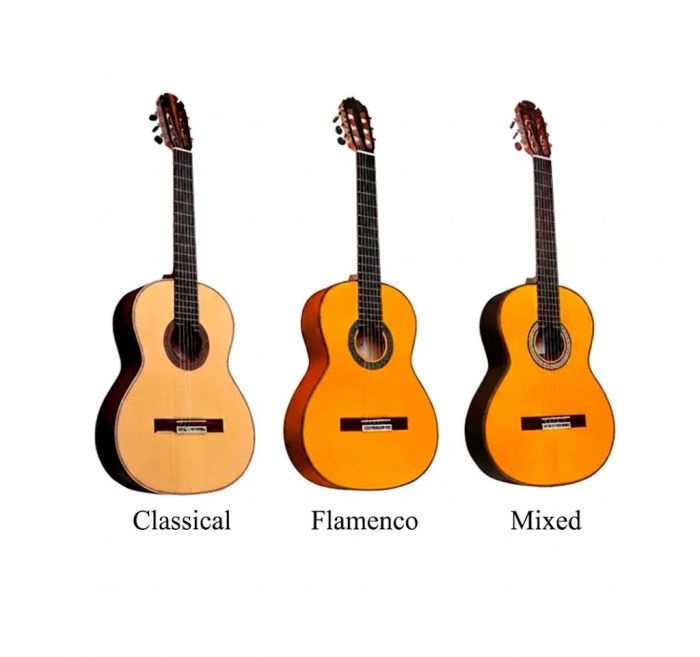 tipos guitarras