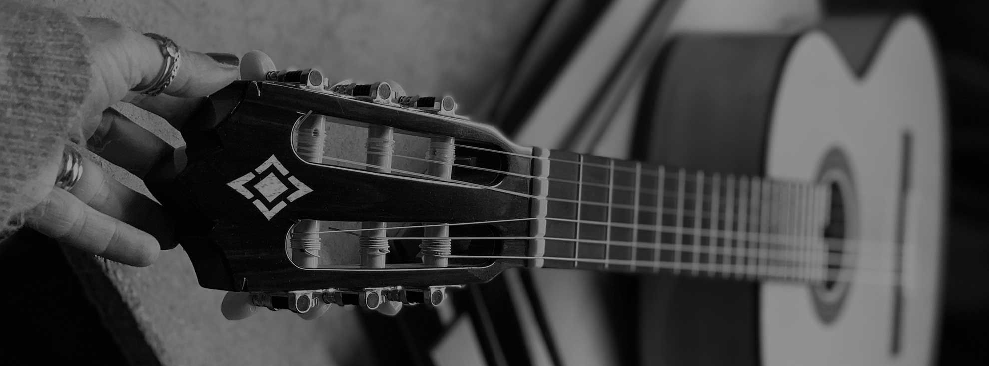 GUITARRA LUTHIERS